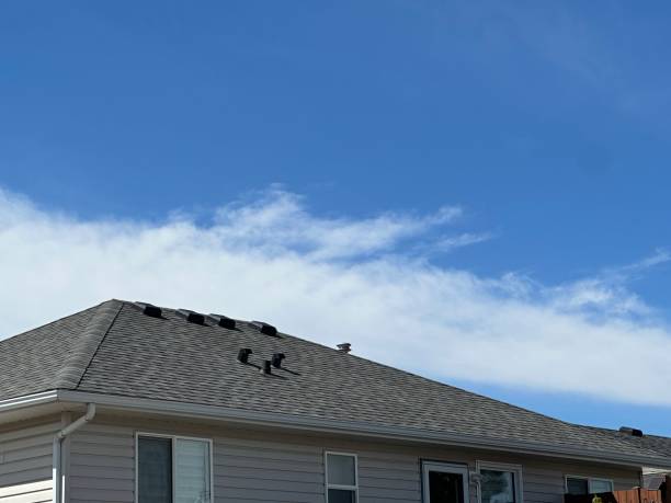  Arapahoe, NE Roofing Service Pros